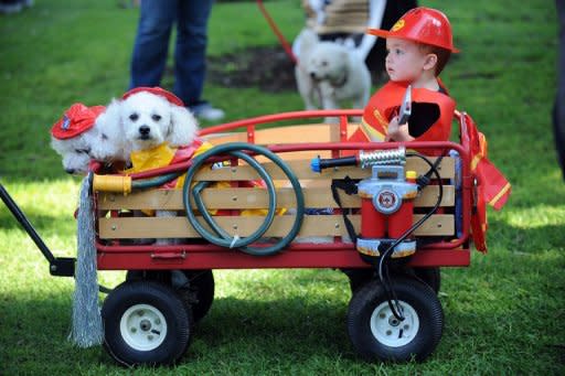 Overall, babies in homes with cats or dogs were about 30 percent less likely to have respiratory infectious symptoms -- which included cough, wheezing, rhinitis (stuffy or runny nose) and fever -- and about half as likely to get ear infections, research shows