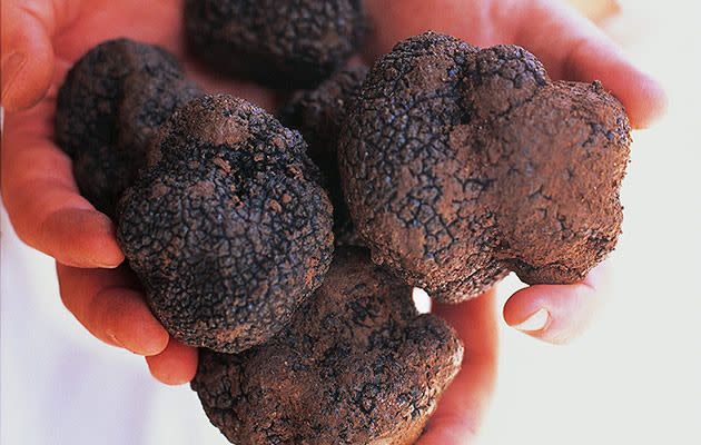 Some incredible looking black truffles. Photo: Getty.