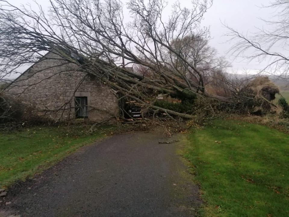 Ms Rampersad van Boeckel’s shed was partially destroyed by a fallen tree (Indra Rampersad van Boeckel/PA)