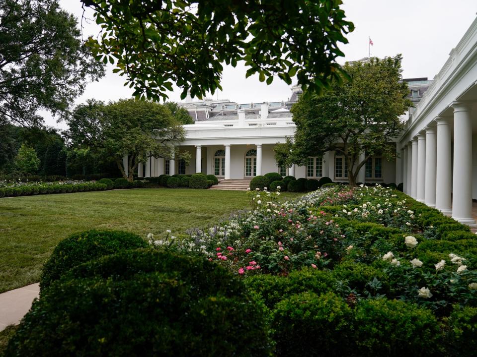 white house rose garden melania trump