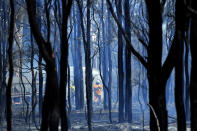 SYDNEY, AUSTRALIA - NOVEMBER 12: NSW Rural Fire Service firefighters mop up after a bushfire in the suburb of Llandilo on November 12, 2019 in Sydney, Australia. More than 50 fires are burning across NSW with 200 homes and sheds destroyed and three people confirmed dead. Catastrophic fire danger - the highest possible level of bushfire danger - has been forecast for the greater Sydney, Illawarra and Hunter areas which includes the Blue Mountains and the Central Coast. NSW Premier Gladys Berejiklian declared a state of emergency on Monday, giving emergency powers to Rural Fire Service Commissioner Shane Fitzsimmons and prohibiting fires across the state while almost 600 schools have also been closed as a safety precaution. (Photo by Sam Mooy/Getty Images)