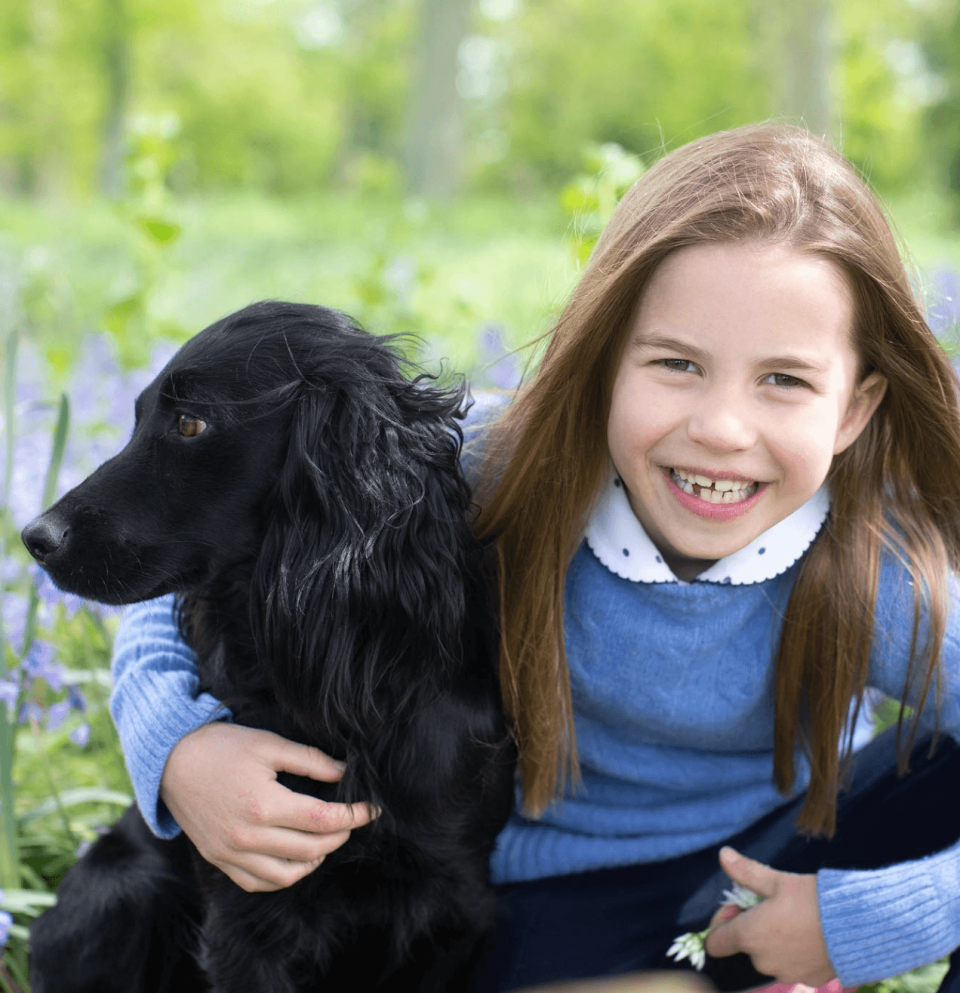 夏綠蒂公主7歲釋出的生日照片，王室萌犬歐拉也來客串。（翻攝自princeandprincessofwales IG）