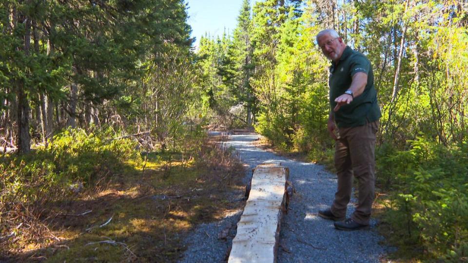 David Saunders, a product development officer at Terra Nova National Park, says he hopes the new trail will provide fun for the whole family.