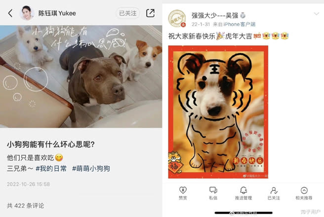 大陸女星陳鈺琪被發現愛寵和導演吳強發的小狗一樣，兩人已合作2次。（圖／微博）