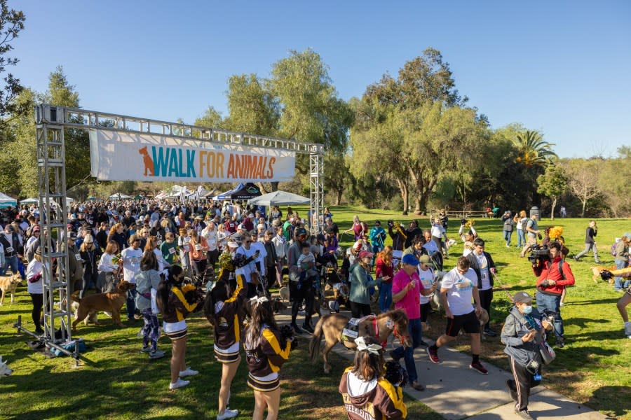 Pet lovers come together to celebrate their passion for animals while raising vital funds for San Diego Humane Society. (Photo: San Diego Humane Society)