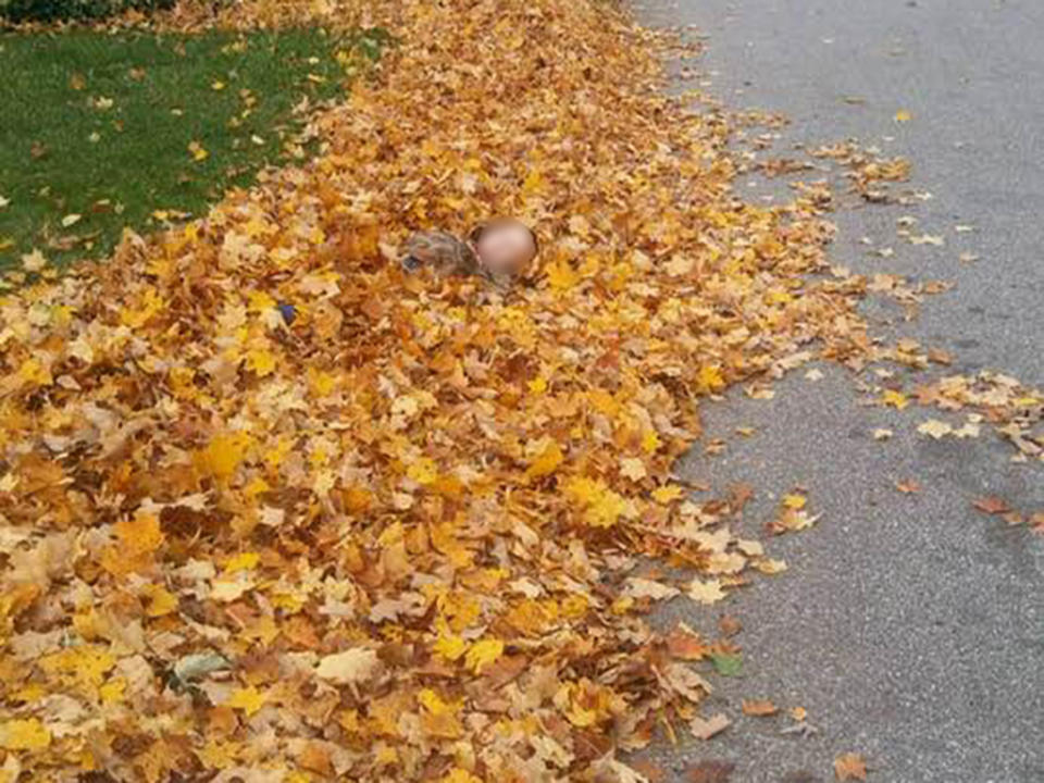 Mr Weaver was walking back to his delivery truck when he saw a child lying in the leaves. Image: Facebook/Theresa Baker