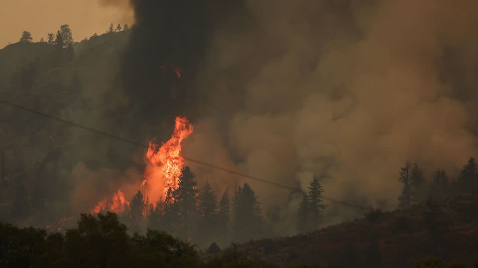 Trees are seen ablaze Sunday after the Eagle Bluff fire crossed the Canada-US border. - Jesse Winter/Reuters