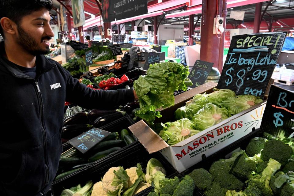 Iceberg lettuce on display in Melbourne (AFP via Getty)