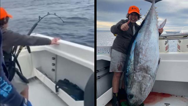 Discovered! Classic Giant Bluefin Photo