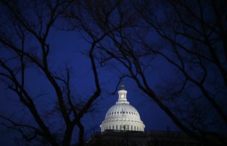 The U.S. Capitol building is seen before the start of President Barack Obama's primetime address to a joint session of the U.S. Senate and House of Representatives on Capitol Hill in Washington February 24, 2009.   REUTERS/Jim Young