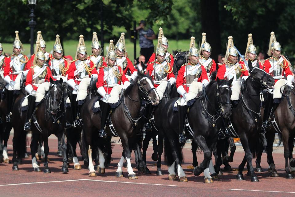 <p>Members of the Queen's personal troops, the Household Division, marching on the Mall.</p>
