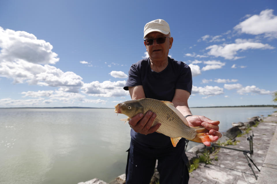 A fisherman shows a carp on Lake Balaton in Keszthely, Hungary on May 18, 2021. Lake Balaton is the largest lake in Central Europe and one of Hungary's most cherished natural treasures. But some worry that the lake's fragile ecosystem and the idyllic atmosphere of the quaint villages dotted along its banks are in danger because of speculative developments. (AP Photo/Laszlo Balogh)