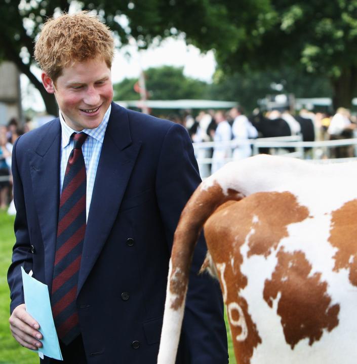 prince harry visits the royal norfolk county show