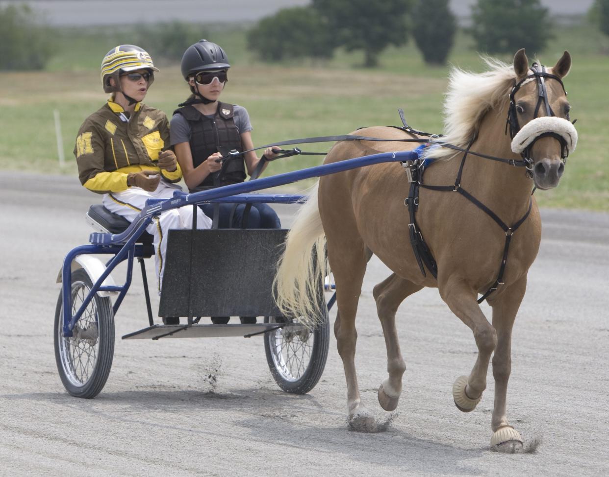 Students at the Harness Horse Youth Camp at Gaitway Farm in Manalapan learn how to care for, train and drive horses in this 2011 file photo.