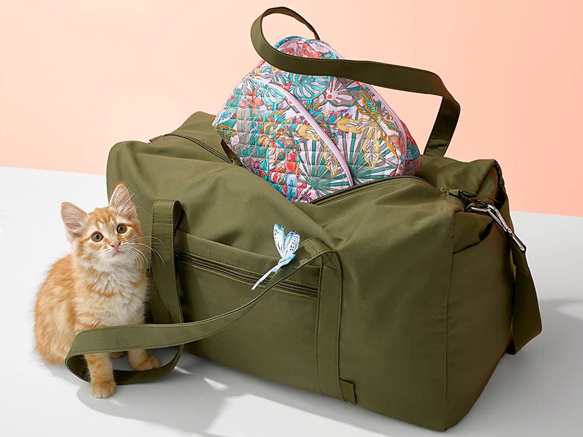 Cat sits next to vera bradley bag