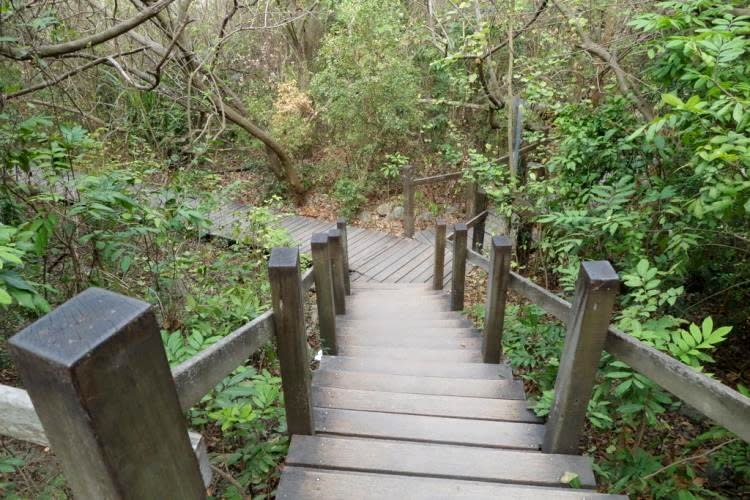 半屏山的木棧登山步道。（圖片來源／高雄旅遊網）