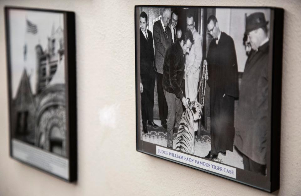A photo of District Court Judge William R. Eads, meeting a seven-month-old tiger from March 10, 1969 is shown hanging, Monday, March 9, 2020, at the Johnson County Courthouse in Iowa City, Iowa.