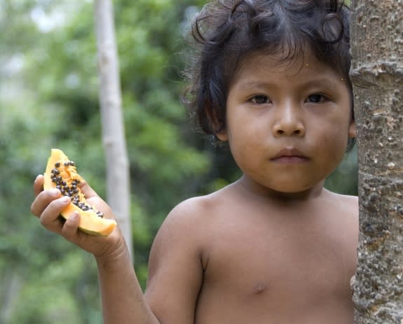 A young Awá girl from Juriti eats papaya, Brazil.