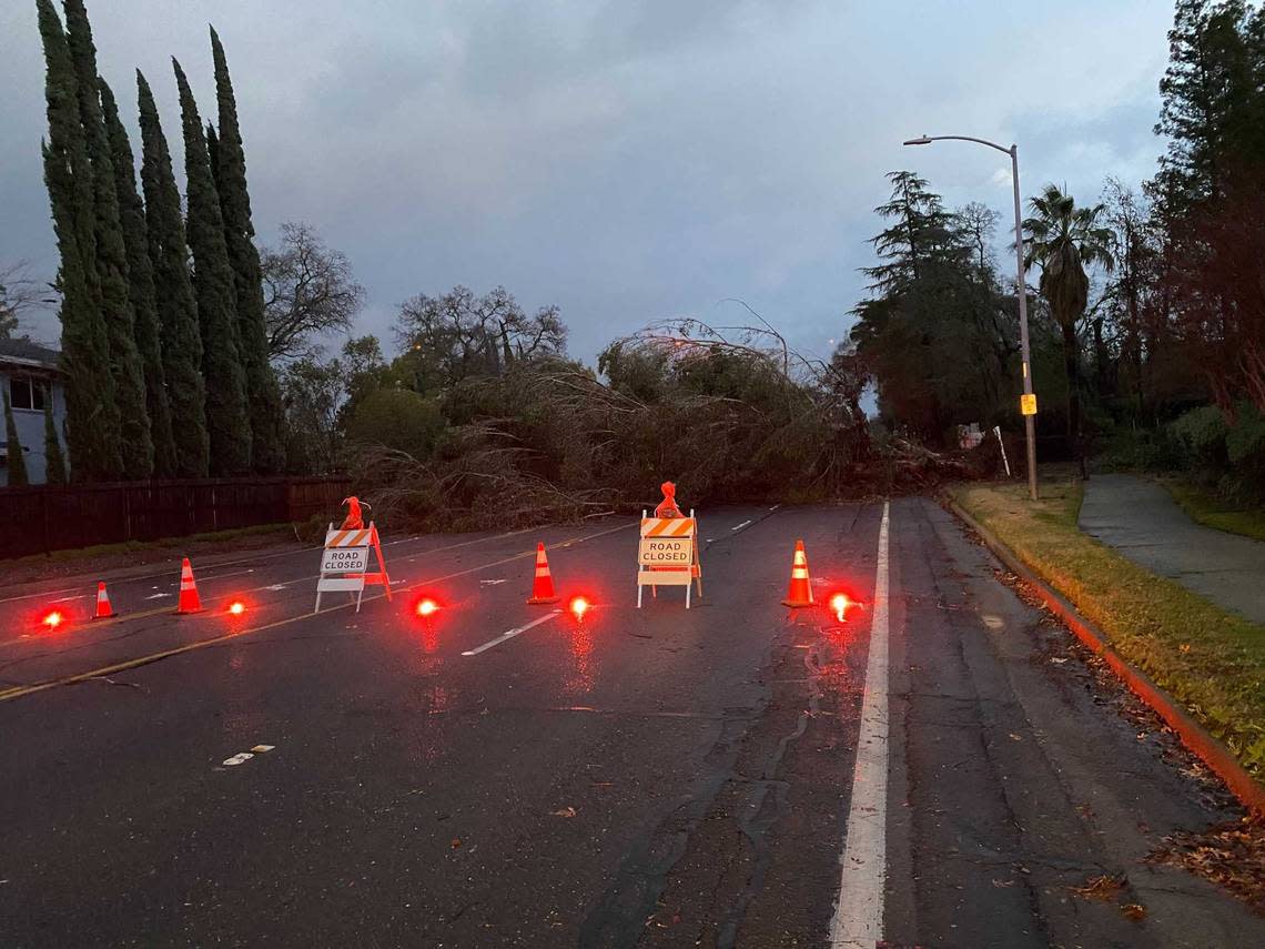 Flares block off the road where a eucalyptus tree fell across Fair Oaks Boulevard in Carmichael on Sunday. Residents living nearby said at least three cars stuck the fallen tree.