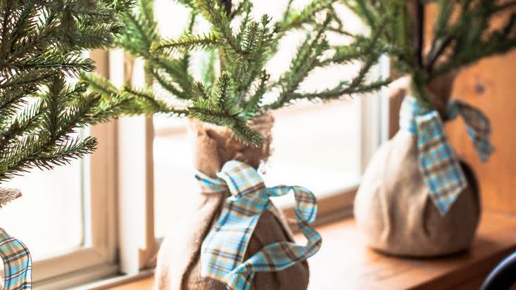 diy christmas window decorations ornaments and pine trees