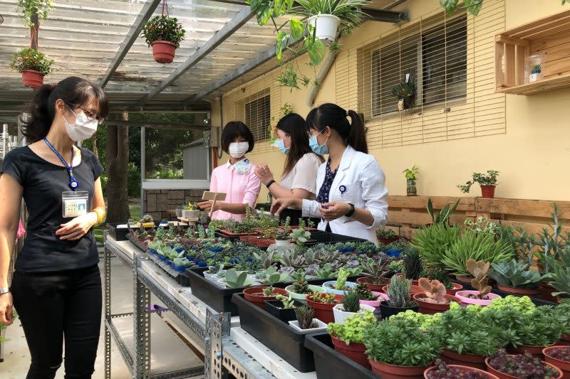 臺大醫院雲林分院為精神病友打造「悠栽小舖」，提供病友透過園藝工作做為職能復健的園地。（臺大醫院雲林分院提供）