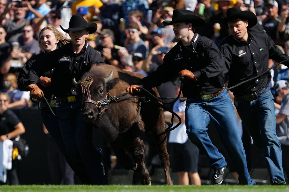 Oct 2, 2021; Boulder, Colorado, USA; Colorado Buffaloes mascot Ralphie is run on tp Folsom Field before the game against the USC Trojans. The Rocky Mountain Conference flowed into the Skyline (also called Mountain States) Conference, which then led to the WAC, which then became the Mountain West. Mandatory Credit: Ron Chenoy-USA TODAY Sports