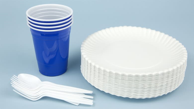Disposable plates and cutlery