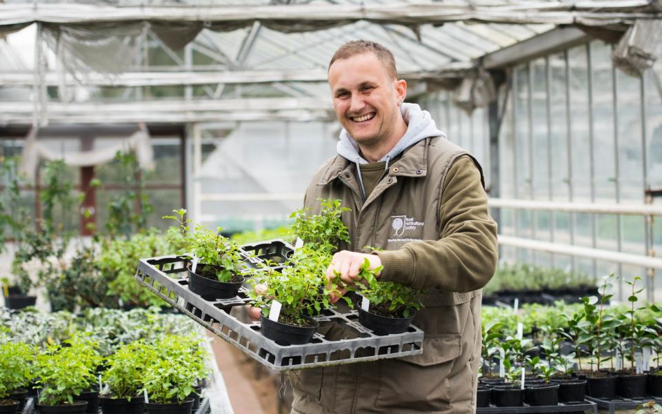 Horticulturist Paul Atkinson at propagation glasshouse - Joanna Kossak