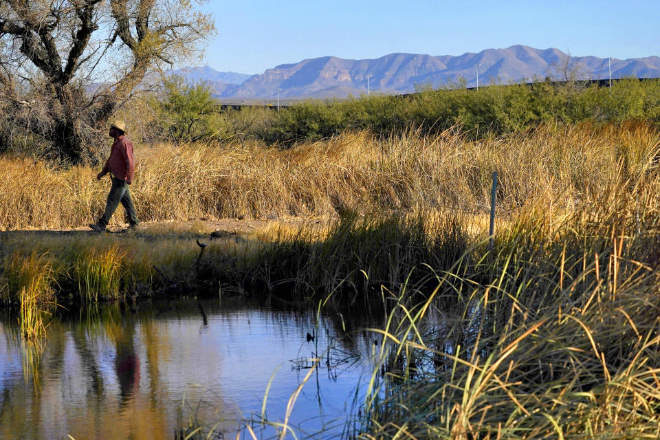 Myles Traphagen, Borderlands Program Coordinator for Wildlands Network, walks through a marsh area as the top of a newly erected border wall cuts through the San Bernardino National Wildlife Refuge, Tuesday, Dec. 8, 2020, in Douglas, Ariz. Construction of the border wall, mostly in government owned wildlife refuges and Indigenous territory, has led to environmental damage and the scarring of unique desert and mountain landscapes that conservationists fear could be irreversible. (AP Photo/Matt York)