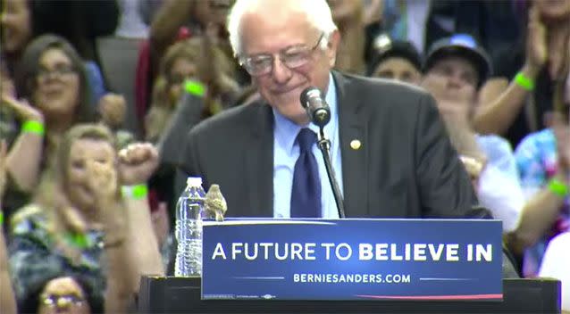 Sanders was all smiles.