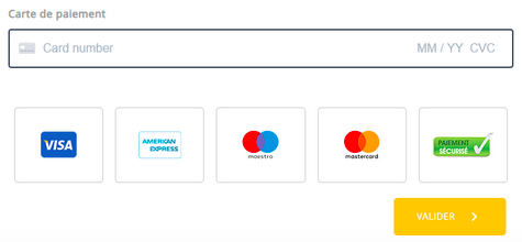 Au moment de payer un achat, le consommateur peut choisir par quel réseau transitera la transaction bancaire (Capture d'écran, LC).