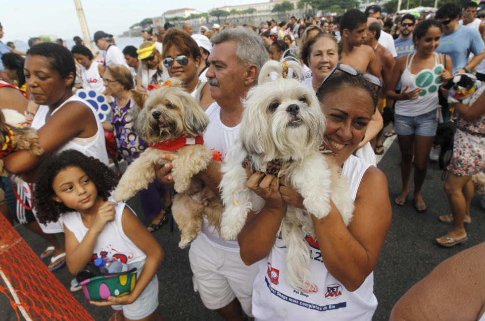 People take their dogs to the "Blocao" dog carnival parade in Rio de Janeiro, Brazil, Sunday, Feb. 12, 2012. (AP Photo/Silvia Izquierdo)