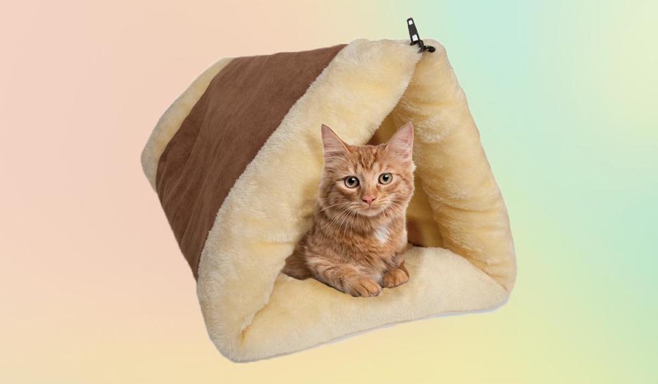 If there's one thing your tuckered-out cat needs, it's more and comfier places to sleep. (That was sarcasm.)(Photo: Walmart)