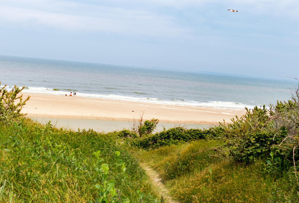 A beach viewed from a grassy hill.