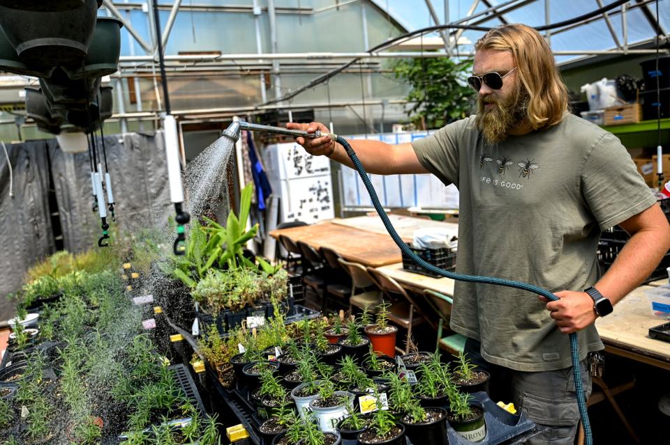 Hunter Park GardenHouse assistant manager Tom Martin waters plants inside the greenhouse on Wednesday, Aug. 16, 2023, in Lansing.