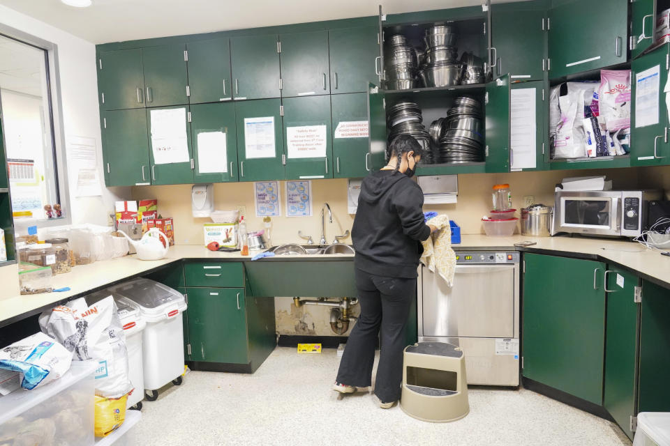 A staff member cleans treat toys in the pantry at the ASPCA, Friday, April 21, 2023, on the Upper West Side neighborhood of New York. While the Westminster Kennel Club crowns the cream of the canine elite on one of tennis' most storied courts next week, another 19th-century institution across town will be tending to dogs that have had far more troubled lives. New York is home to both the United States' most prestigious dog show and its oldest humane society, the American Society for the Prevention of Cruelty to Animals. Their histories entwine: Some proceeds from the very first Westminster dog show, in 1877, helped the young ASPCA build its first dog and cat shelter years later. (AP Photo/Mary Altaffer)