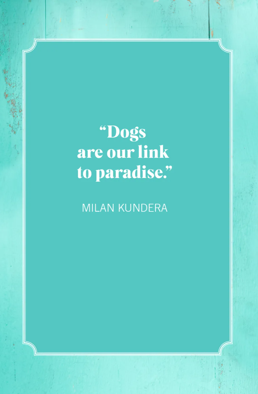 dog mom quotes milan kundera