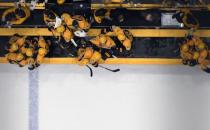 May 22, 2017; Nashville, TN, USA; Nashville Predators players celebrate on the bench late in the third period against the Anaheim Ducks in game six of the Western Conference Final of the 2017 Stanley Cup Playoffs at Bridgestone Arena. Mandatory Credit: Christopher Hanewinckel-USA TODAY Sports