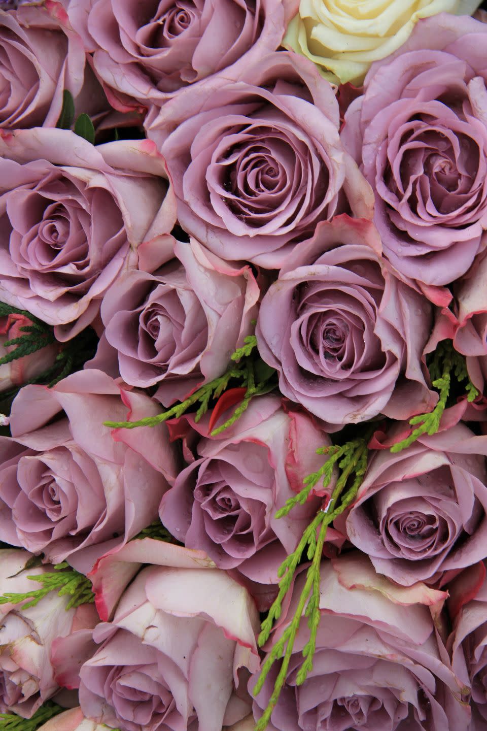 purple roses in a big centerpiece wedding arrangement