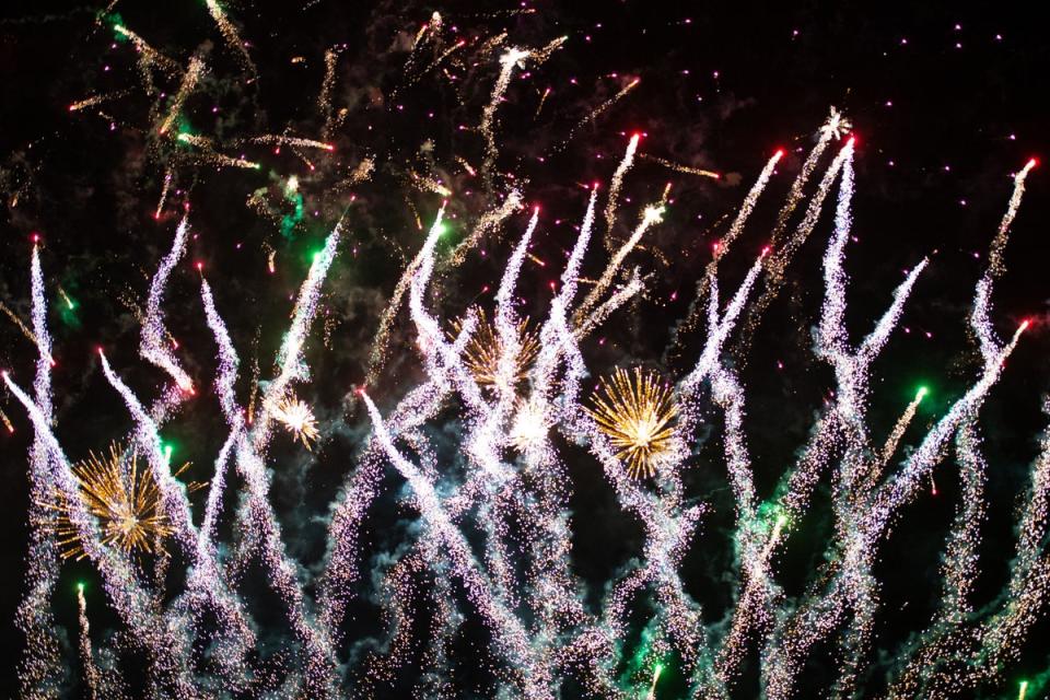 Fireworks fill the sky at the Place des Palais in Belgium, where crowds gathered to watch the show and celebrate with loved ones (Belga/AFP via Getty Images)