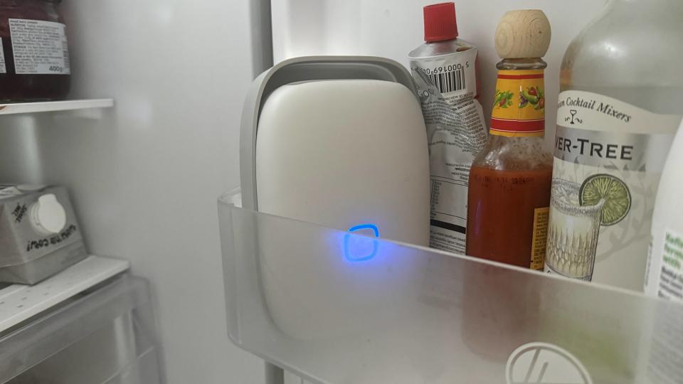 Shelfy placed on the inside door shelf in a fridge