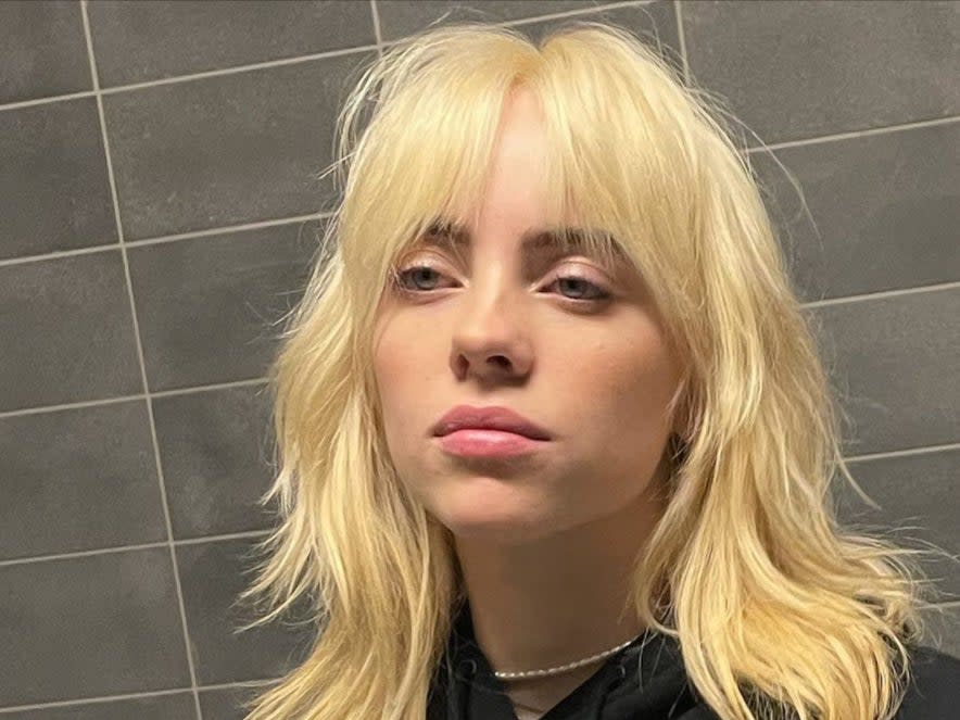 <p>Eilish appeared on the fashion magazine’s cover with newly dyed blonde hair, in lingerie</p> (Billie Eilish)