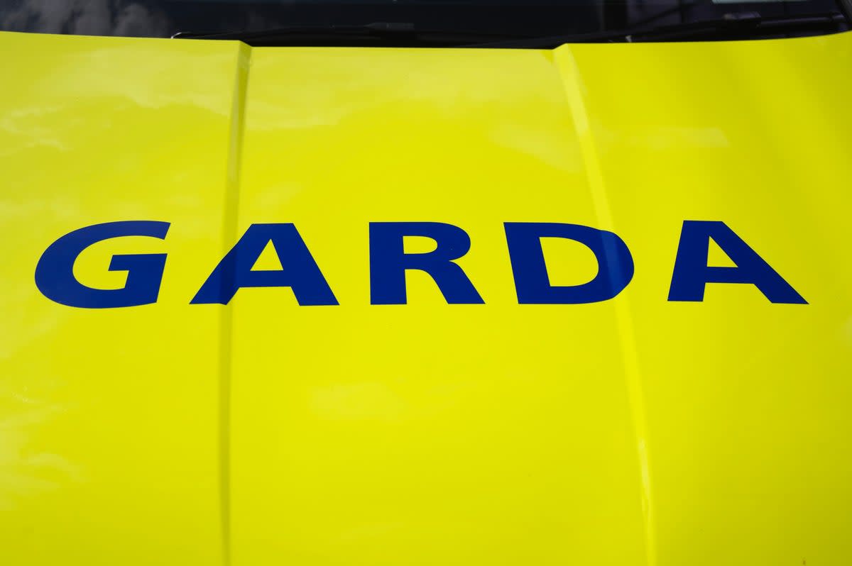 Close up of garda sign on vehicle hood (Getty/iStock)