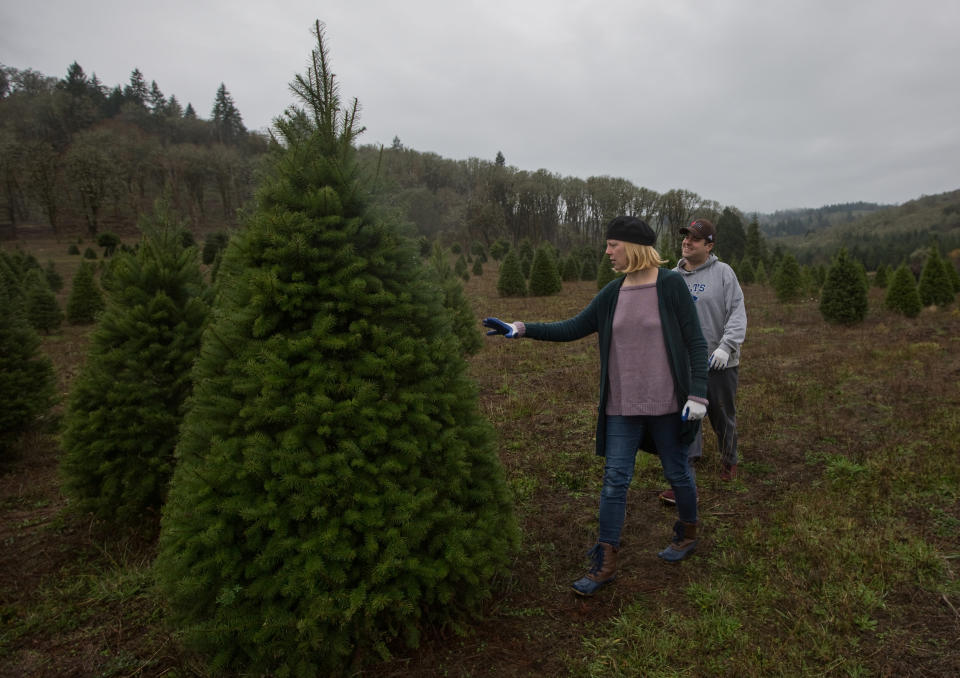 A couple searches for a Christmas tree at a farm in Oregon on Nov. 25.&nbsp; (Photo: Natalie Behring / Reuters)