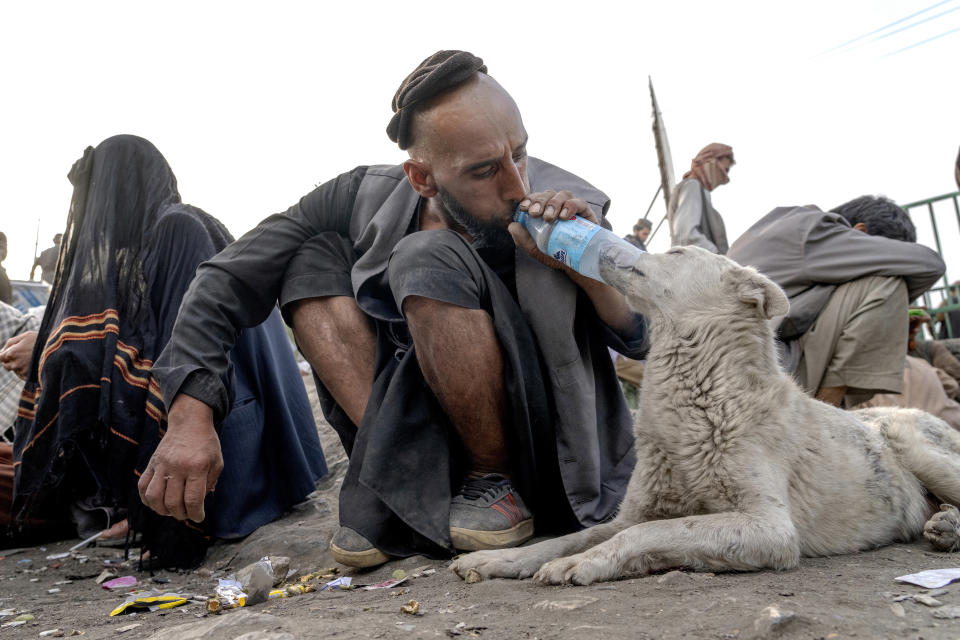 An Afghan drug addict gives heroin to an addicted dog on the edge of a hill in the city of Kabul, Afghanistan,Tuesday, June 7, 2022. Drug addiction has long been a problem in Afghanistan, the world’s biggest producer of opium and heroin. The ranks of the addicted have been fueled by persistent poverty and by decades of war that left few families unscarred. (AP Photo/Ebrahim Noroozi)