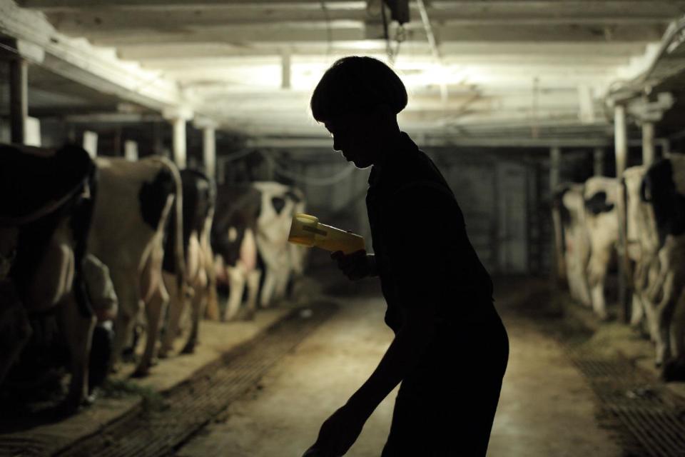 In this image released by PBS, a boy works in a barn in a scene from "The Amish: American Experience," a film that offers a revealing look at the Amish community of about 250,000 centered primarily in rural Pennsylvania, Ohio and Indiana. The film premieres on PBS stations on Feb. 28 at 8 p.m. (AP Photo/PBS)