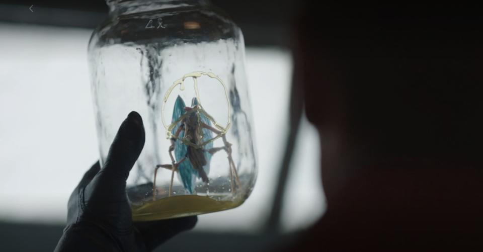 Chris holding a jar with Goff, having drawn a peace sign, in it in "Peacemaker"