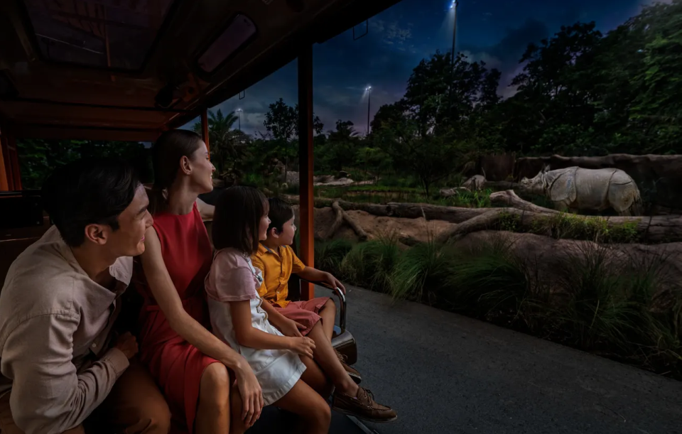新加坡旅遊｜夜間野生動物園門票6折優惠 人均只需$177連往返遊園車 必睇暮光表演+夜晚精靈動物表演！