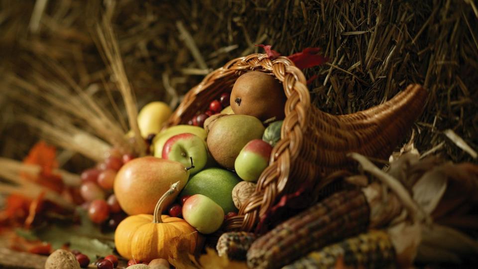 thanksgiving cornucopia meaning