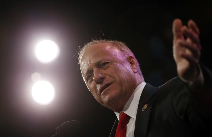 U.S. Representative Steve King (R-IA) speaks at the Freedom Summit in Des Moines, Iowa, January 24, 2015.  (REUTERS/Jim Young)